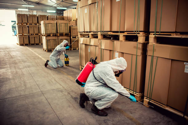 Best Commercial Pest Control Services  in Santo Domingo Pueblo, NM