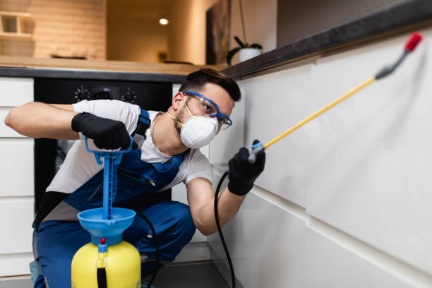 Best Exterminator Services  in Santo Domingo Pueblo, NM