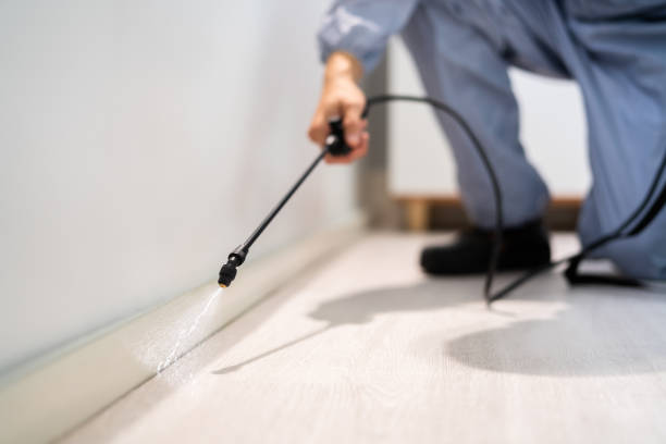 Best Commercial Pest Control Services  in Santo Domingo Pueblo, NM