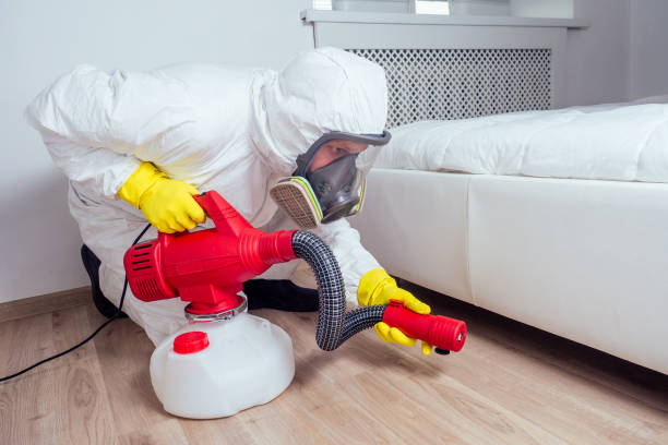 Best Pest Inspection Near Me  in Santo Domingo Pueblo, NM