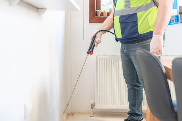 Best Termite Control Services  in Santo Domingo Pueblo, NM